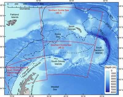 Myctophid Fish (Family Myctophidae) Are Central Consumers in the Food Web of the Scotia Sea (Southern Ocean)